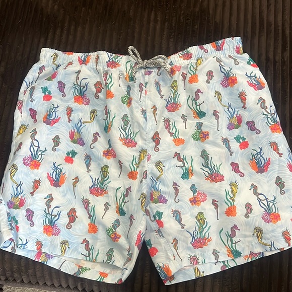 NEVER WORN Mens swim trunks - Picture 1 of 2